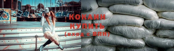 прущие грибы Заволжье