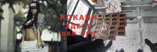 прущие грибы Заволжье