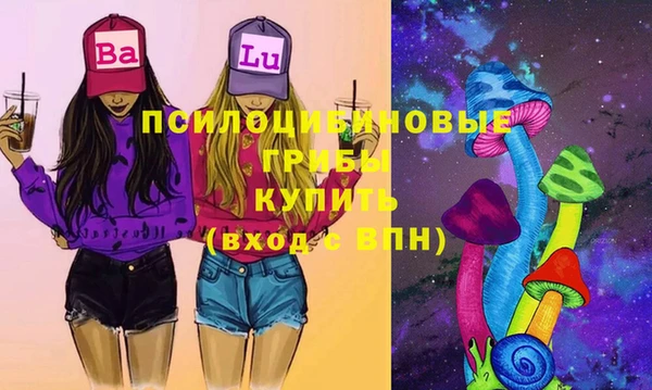 гидра Няндома