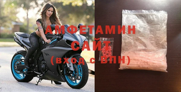 гидра Няндома