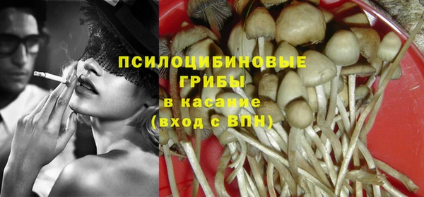 прущие грибы Заволжье