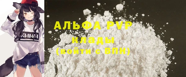 прущие грибы Заволжье