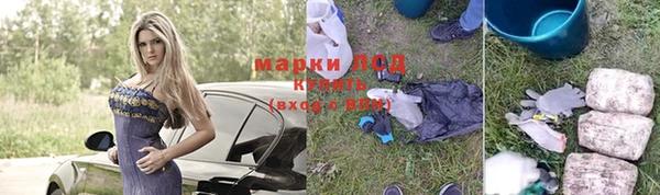 прущие грибы Заволжье
